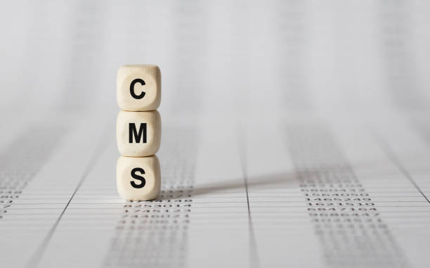 istock Word CMS made with wood building blocks 859760736