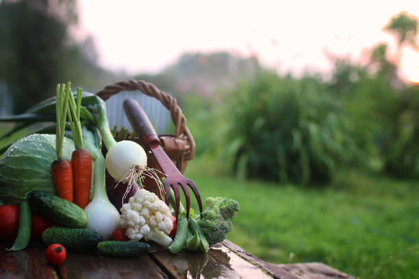 Crate with vegetables