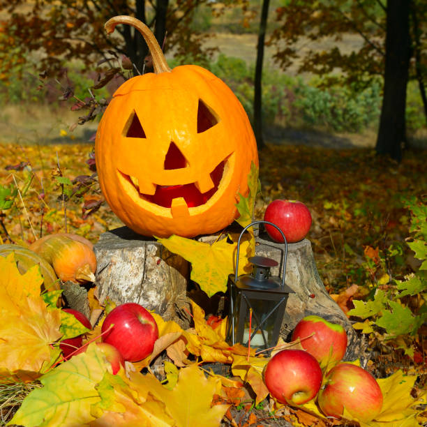 istock pumpkin-head against a background of an autumn forest 859762044