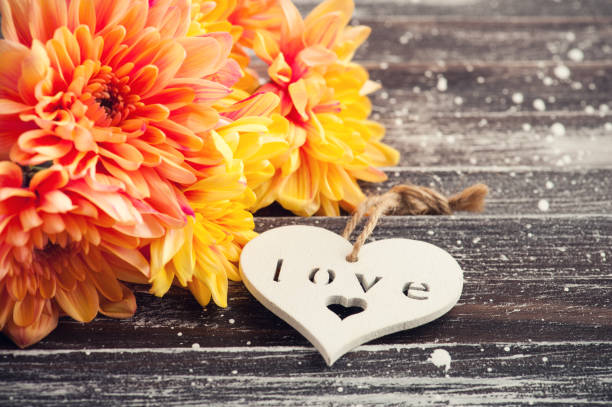 Orange chrysanthemum and heart, vintage shutters on background