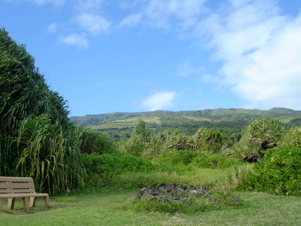 istock Sights of Maui, Hawaii 859771286