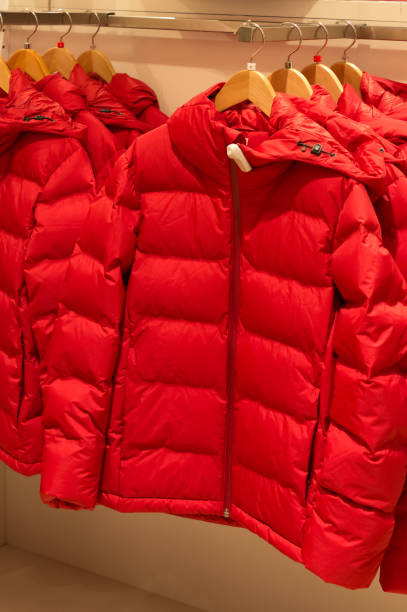 istock Sweaters and trousers for winter season 859772290