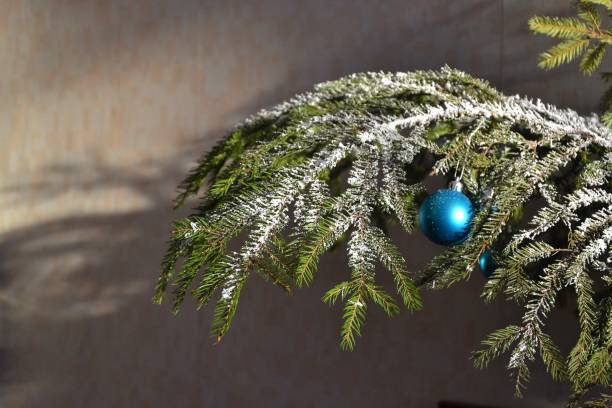 istock Christmas tree and the blue toy 859776258