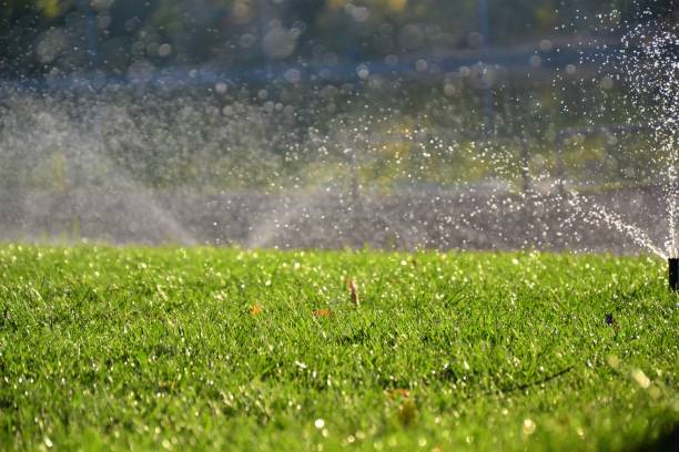 istock Grass watering, irrigation near Vardavar lake in Yerevan 859782868