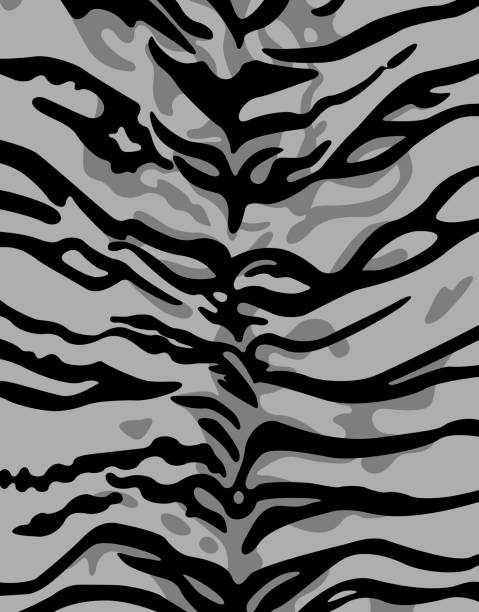 70+ Tiger Rug Stock Illustrations, Royalty-Free Vector Graphics & Clip ...