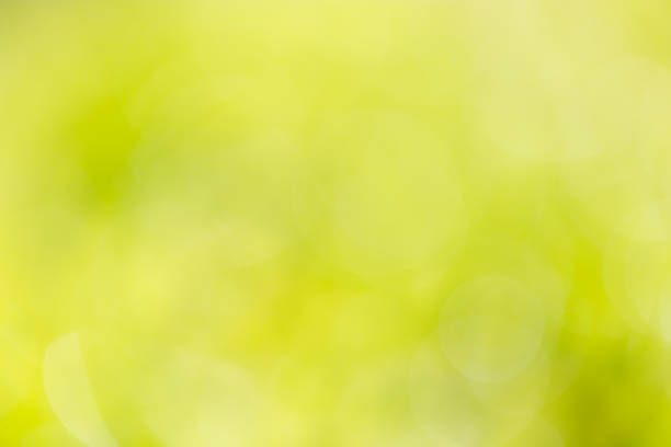 istock beautiful bokeh green nature 859794982