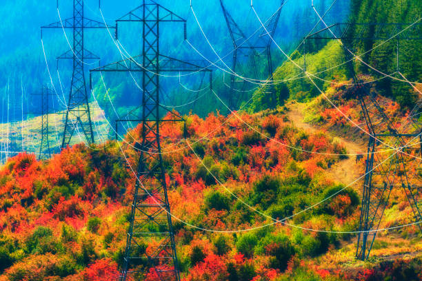 A grid of electric power towers and lines, line the rolling autumn colored hills of Lolo Pass in Mt. Hood National Forest.