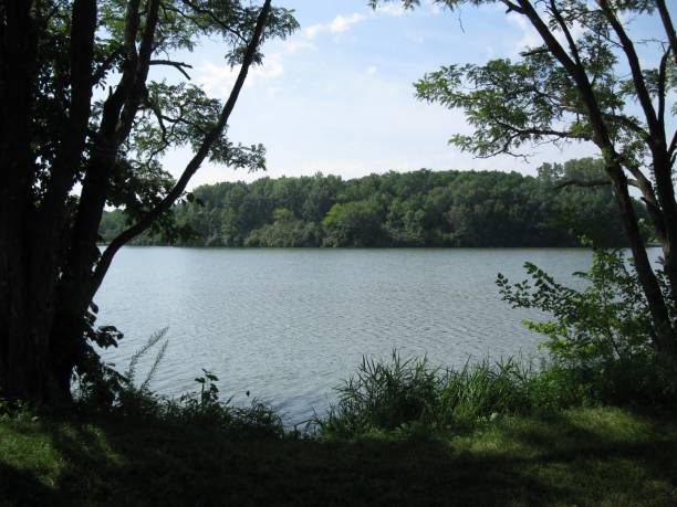 istock View of the river through the trees 859799798