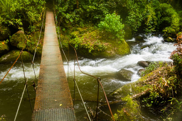 istock Metal bridge crossing a river through the jungle. 859802376
