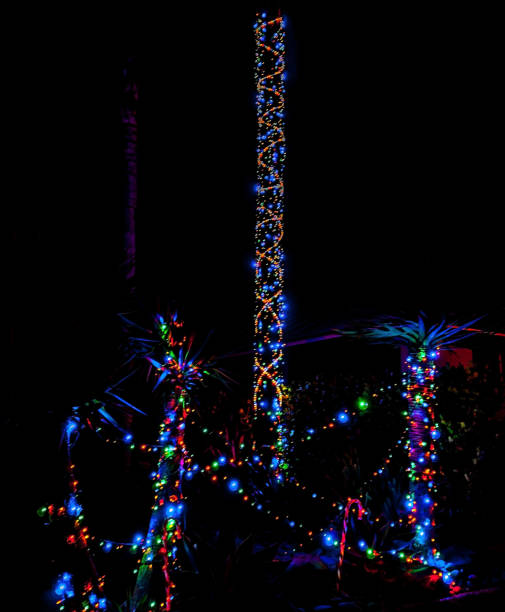 istock Christmas garden lights bright colors against dark background. 859804100