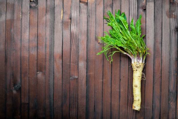 istock Fresh horseradish. In brown Wooden table. Top view. 859804130