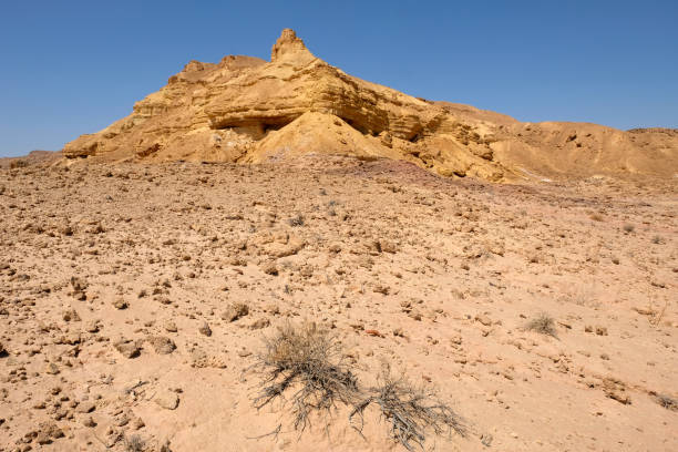istock Arid landscape in Negev desert. 859817238