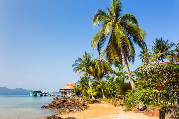 istock Beautiful tropical beach at island Koh Chang 859820452