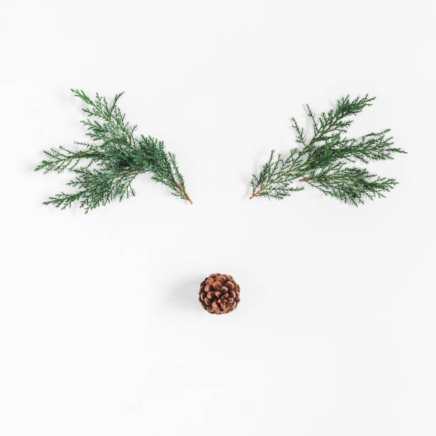 Christmas reindeer made of pine branches. Flat lay, top view