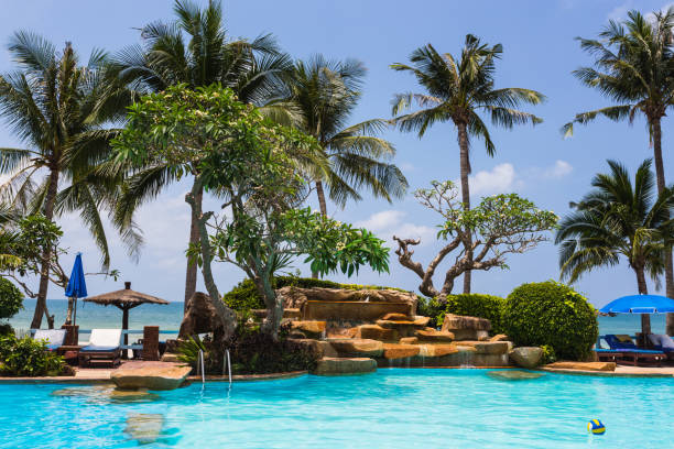 istock Pool and palms on sea shore. Thailand, Koh Chang, 859820698