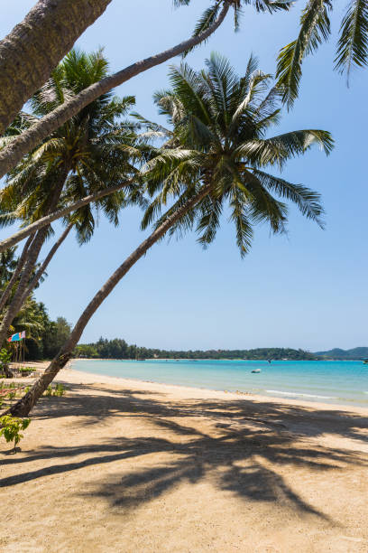 istock Beautiful tropical beach at island Koh Chang 859821146