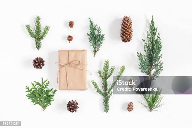 선물 흰색 바탕에 겨울 식물입니다 평면 위치 최고 보기 나뭇가지에 대한 스톡 사진 및 기타 이미지 - 나뭇가지, 크리스마스, 컷아웃