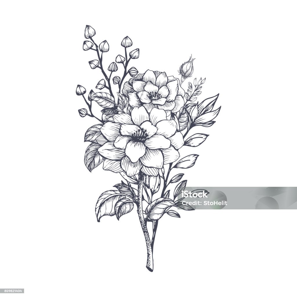 Hand drawn flower bouquet Hand drawn flower bouquet in sketch style. Vector plants Flower stock vector