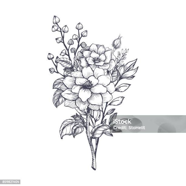 Hand Drawn Flower Bouquet Stock Illustration - Download Image Now - Flower, Bouquet, Drawing - Art Product