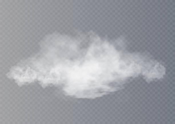 ilustraciones, imágenes clip art, dibujos animados e iconos de stock de niebla o humo aislado transparente efecto. blanco vector fondo de nubosidad, la niebla o smog. ilustración de vector - smoke trails