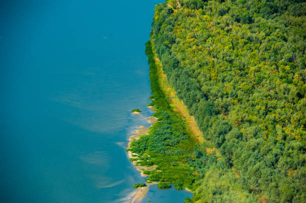 istock Aerial view of forest during 859824434