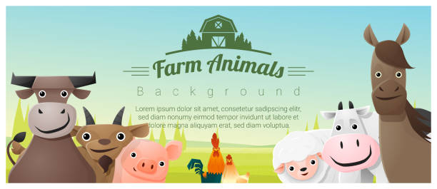 ilustrações de stock, clip art, desenhos animados e ícones de farm animals and rural landscape background , vector , illustration - lamb young animal sheep livestock