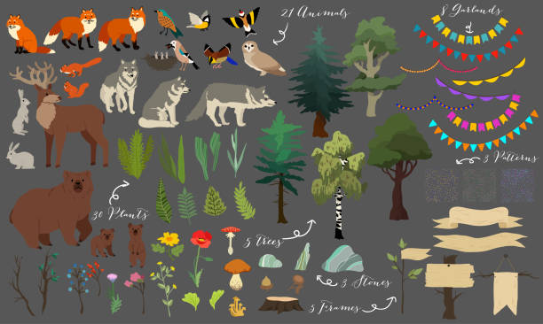Set of cute forest elements - animals, trees and other. Vector decorative cute illustration for design Set of cute forest elements - animals, trees and other. Vector decorative cute illustration for design lupine flower stock illustrations
