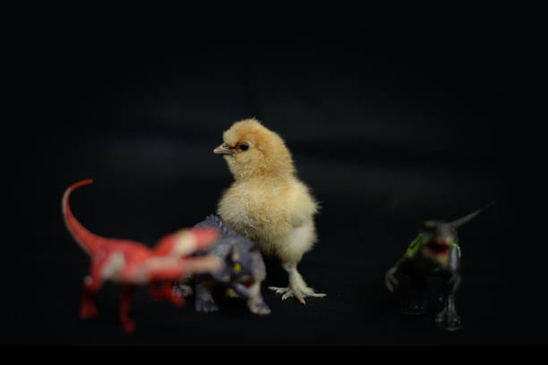 istock Baby chick with red dino 859829448