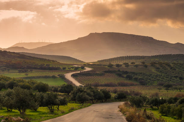 paysage crétois au coucher du soleil - mount of olives photos et images de collection