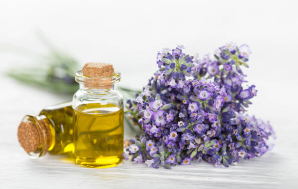 istock Wellness treatments with lavender flowers 859830478