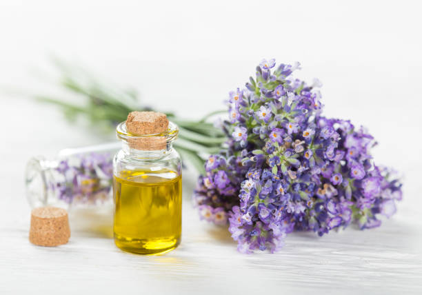 istock Wellness treatments with lavender flowers 859832812