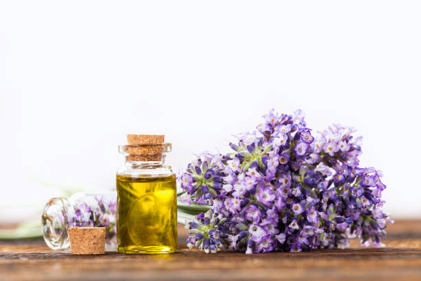 istock Wellness treatments with lavender flowers 859834114