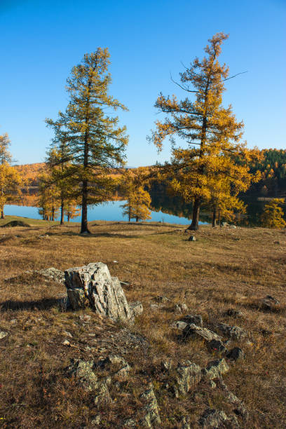 istock Fall colored larch trees are reflected in a beautiful mountain lake 859838080
