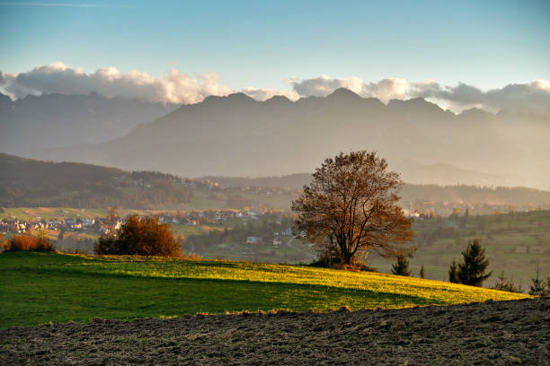 istock Beautiful autumn sunny evening panorama. 859839422