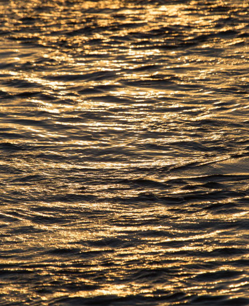 istock Background of the water surface at sunset 859849330