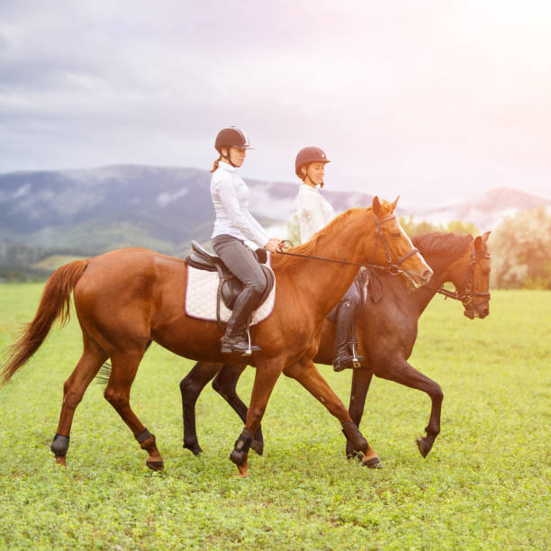 istock Young women riding horses on mountain meadow 859856278