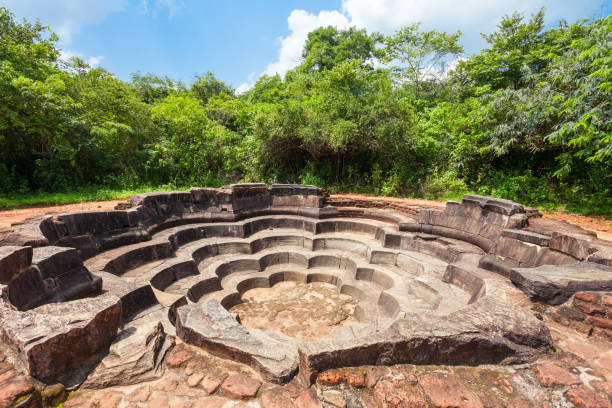 istock Lotus Pond in Polonnaruwa 859856442