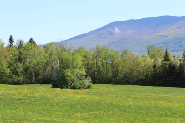 istock New Hampshire the Beautiful 859857398