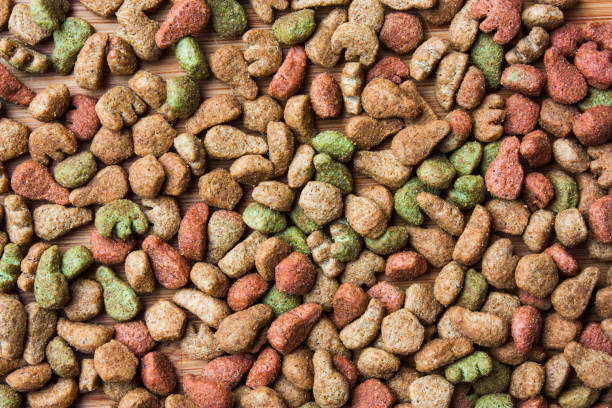istock background of cat food 859859996