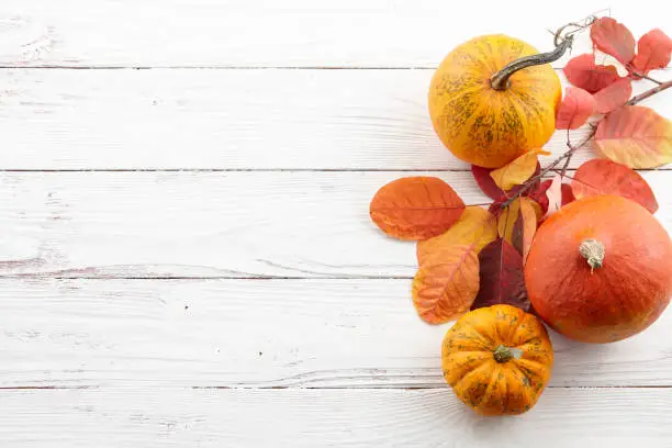 Photo of Fall background of colorful autumn pumpkins and leaves