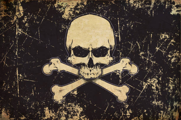 illustrazioni stock, clip art, cartoni animati e icone di tendenza di pirati teschio senza mascella e ossa invecchiato bandiera piatta - skull dirty insignia grunge