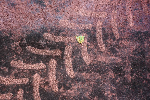 istock Texture of brown colored ground with tractor tires footprints 859863560