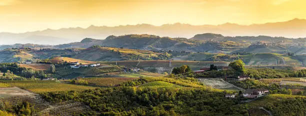 wide panorama of Langhe region in northern italy, on early autumn,unesco heritage