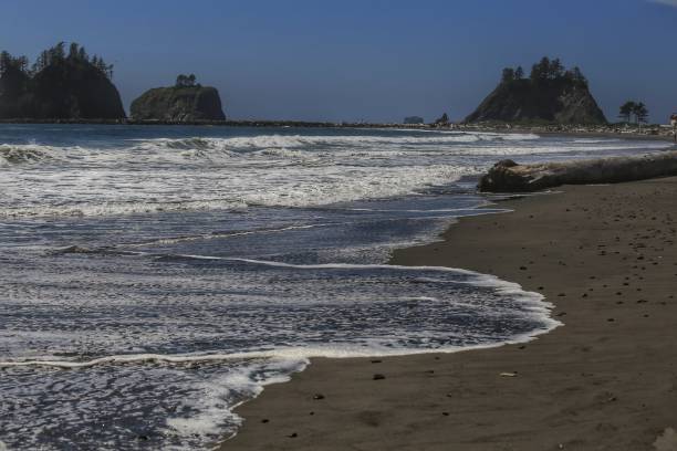 istock La Push Beach Driftwood Log, Waves, Beach,Olympic Coast, Washington 859870082