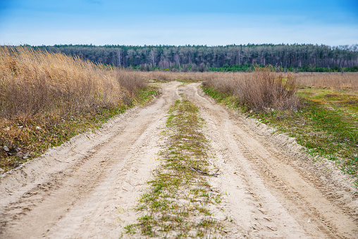 dirt road to the forest through the field