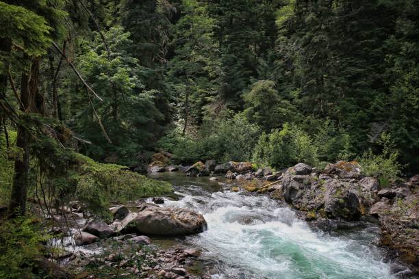 istock Sol Duc River Rapids, Olympic National Park, Washington 859870978
