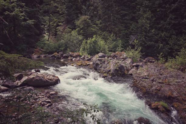 istock Sol Duc River Rapids, Olympic National Park, Washington 859871240
