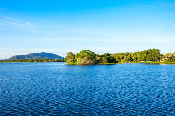 istock Tissamaharama lake, Sri Lanka 859871690