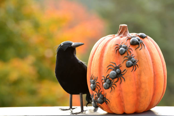 istock Spider Pumpkin and Crow Ornaments 859874462