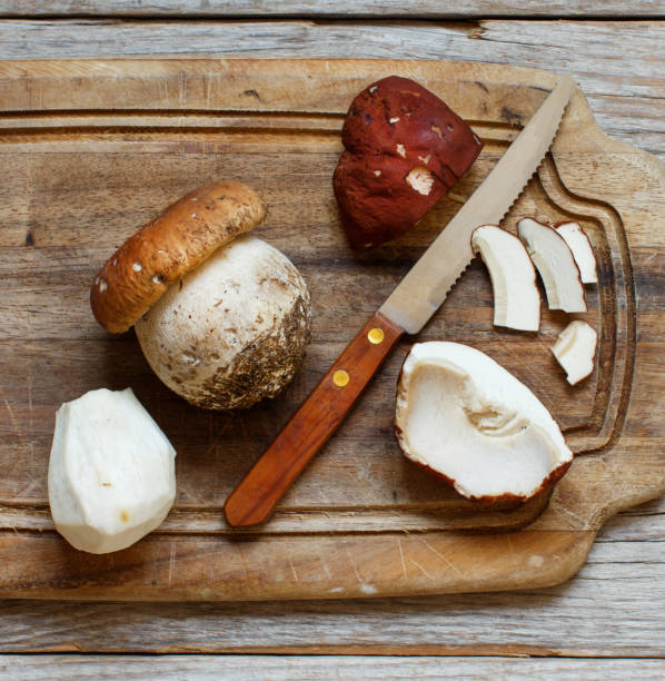 istock Wild porcino mushrooms 859874966